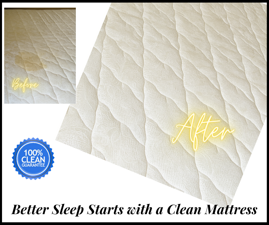 Before and After Mattress Cleaning Affordable Mattress Cleaning Services 33 - Clean Mattress  https://cleanmattress.com.au/